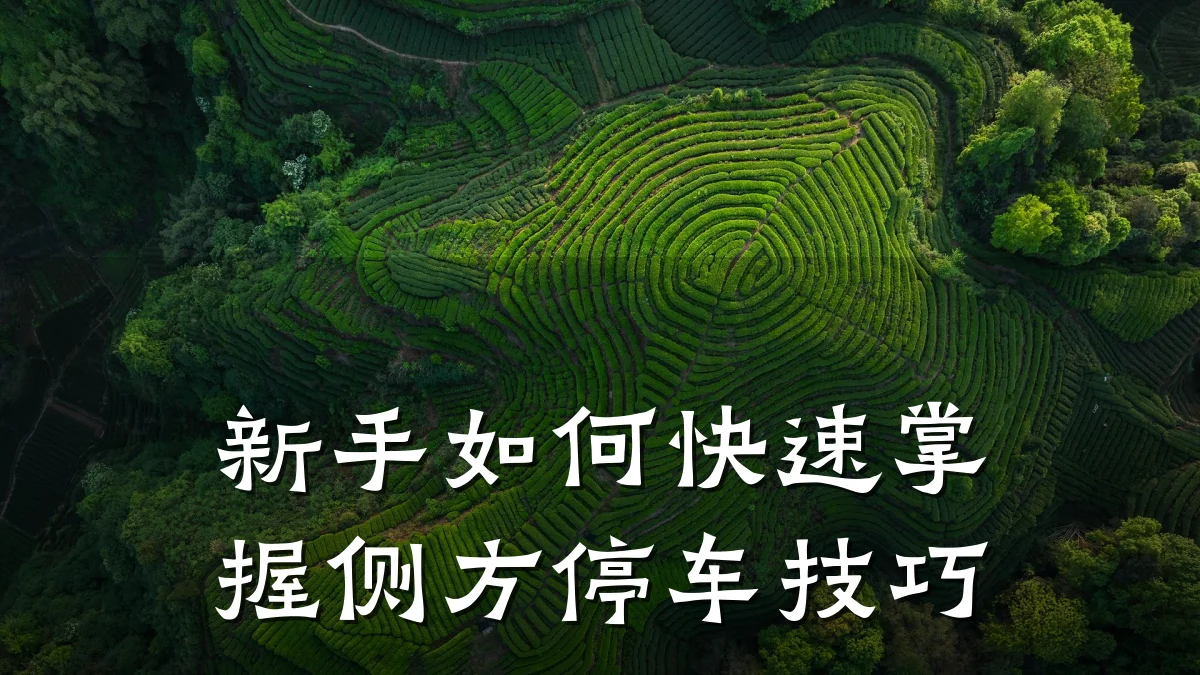 新手如何快速掌握侧方停车技巧