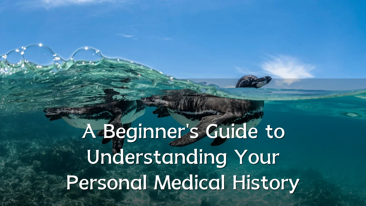 A Beginner's Guide to Understanding Your Personal Medical History