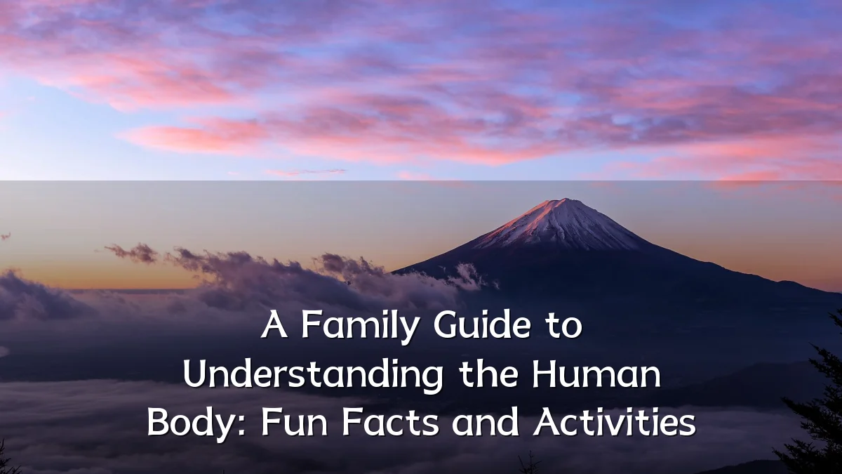 A Family Guide to Understanding the Human Body: Fun Facts and Activities