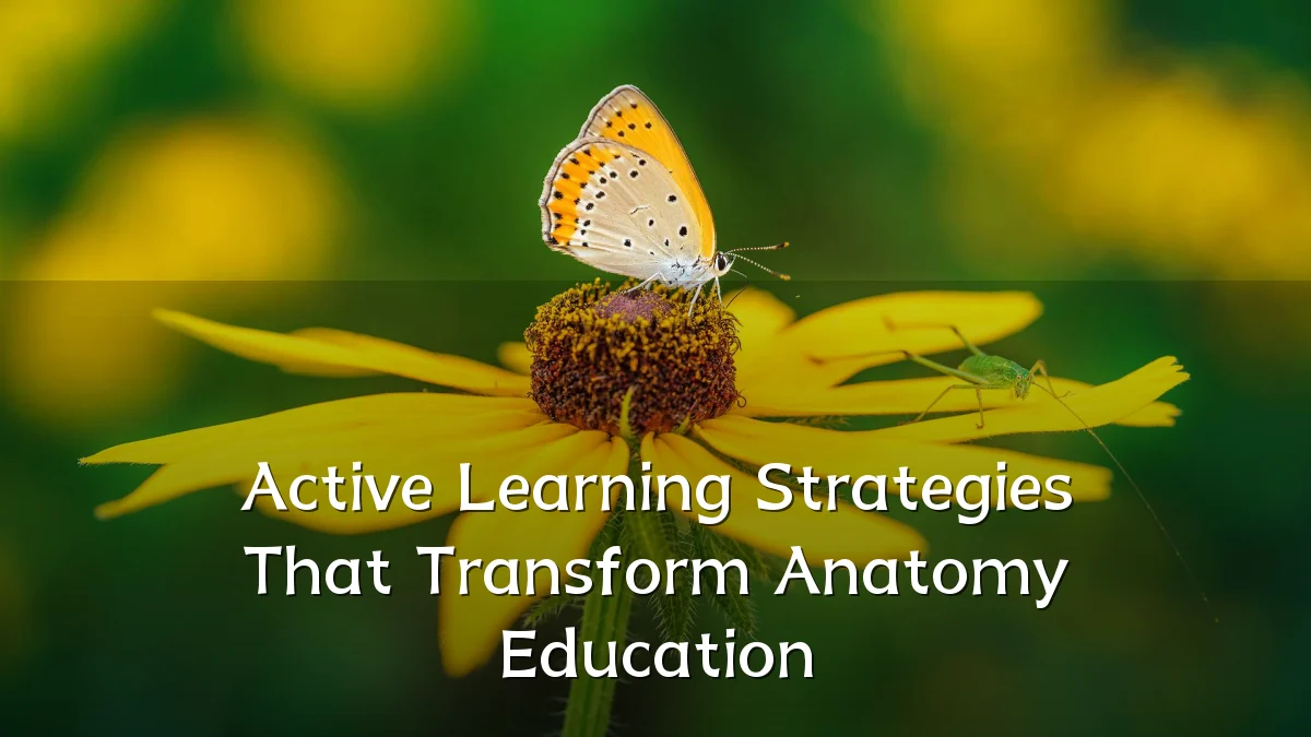 Active Learning Strategies That Transform Anatomy Education