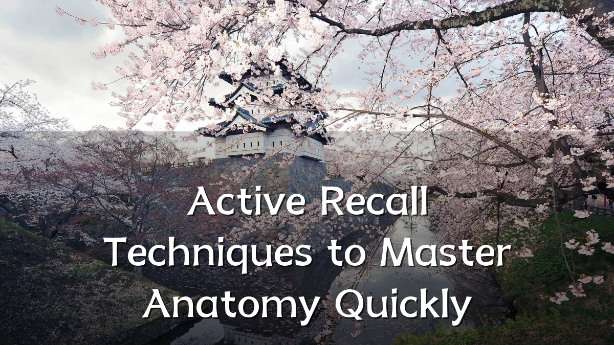 Active Recall Techniques to Master Anatomy Quickly