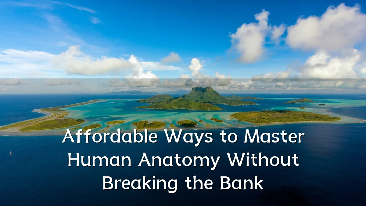 Affordable Ways to Master Human Anatomy Without Breaking the Bank