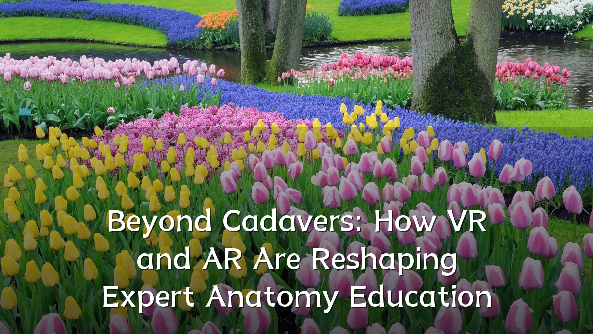 Beyond Cadavers: How VR and AR Are Reshaping Expert Anatomy Education