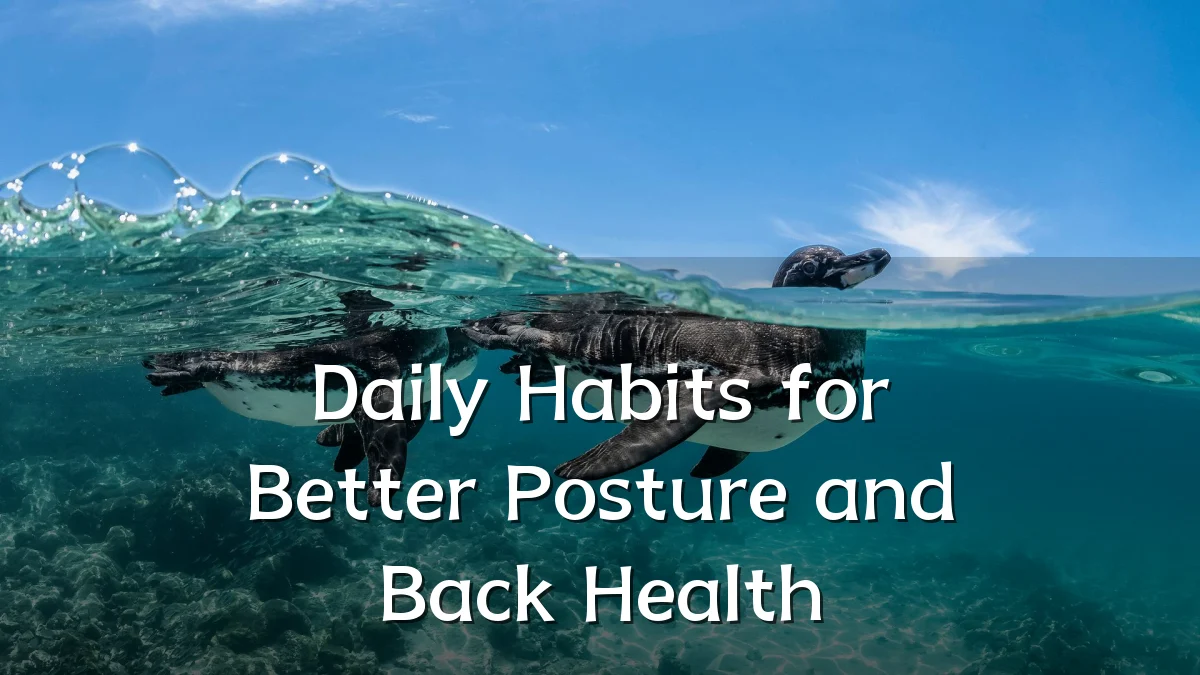 Daily Habits for Better Posture and Back Health