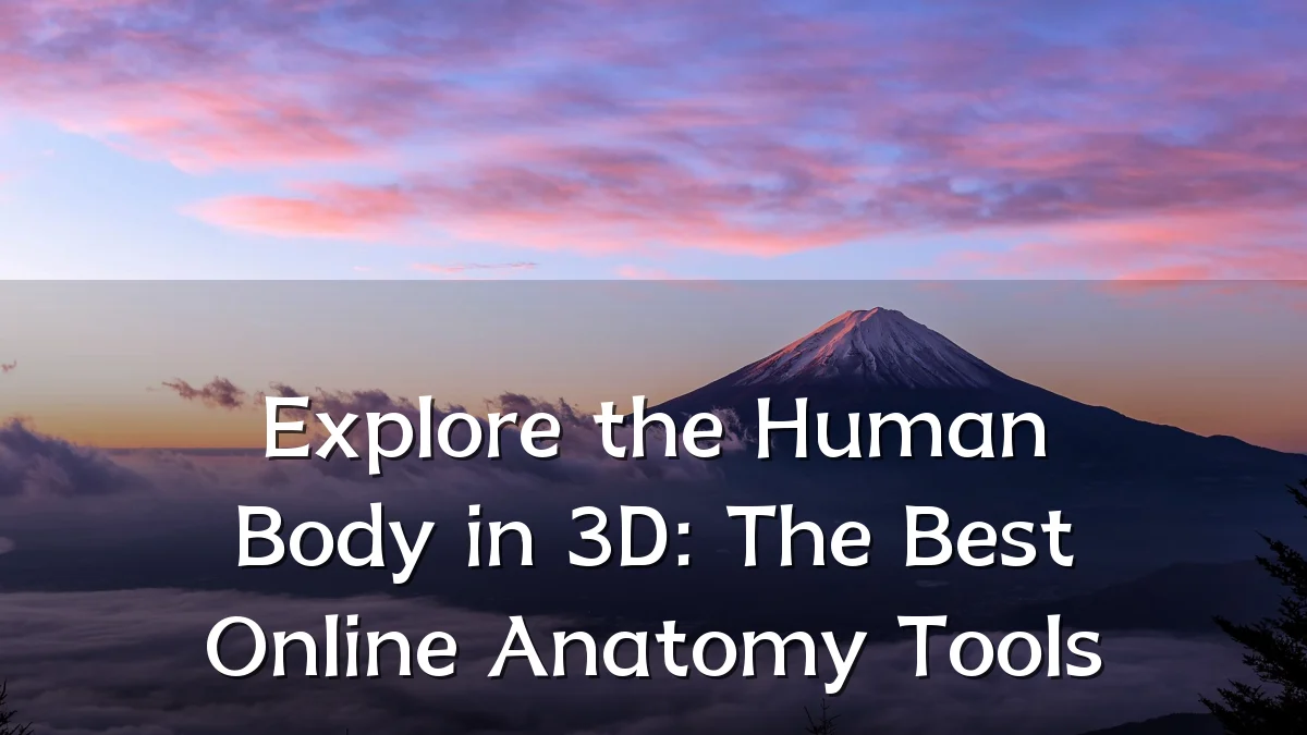 Explore the Human Body in 3D: The Best Online Anatomy Tools