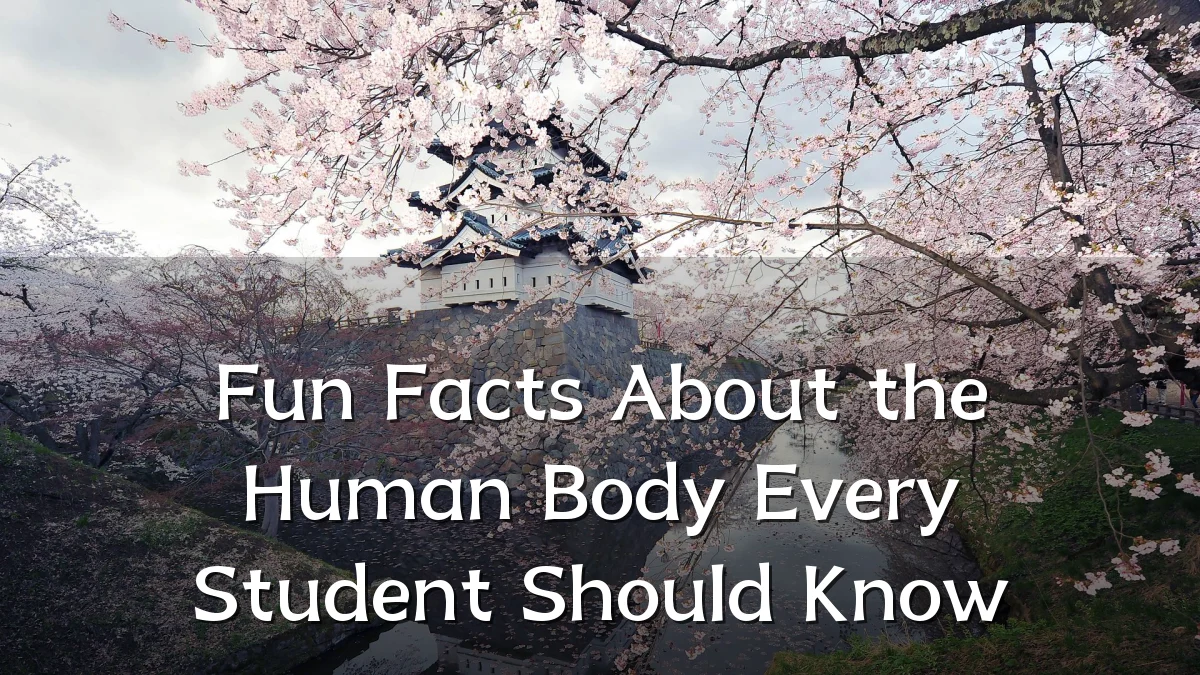 Fun Facts About the Human Body Every Student Should Know