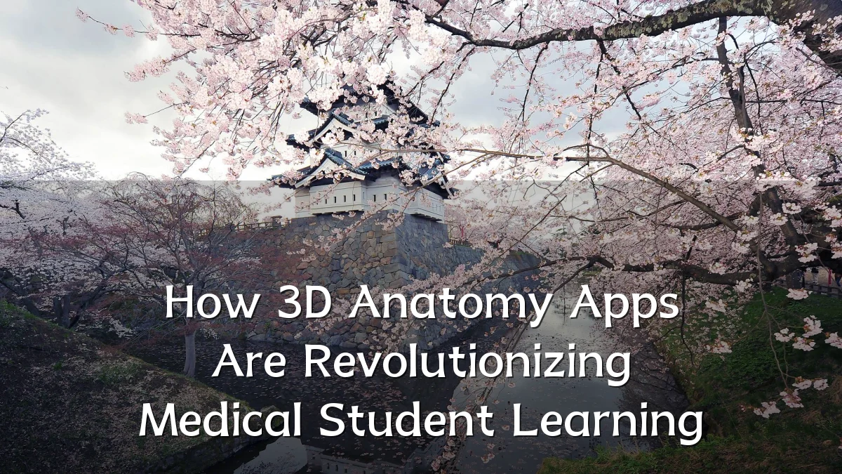 How 3D Anatomy Apps Are Revolutionizing Medical Student Learning