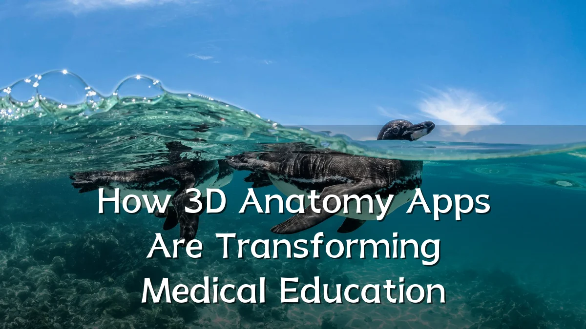 How 3D Anatomy Apps Are Transforming Medical Education