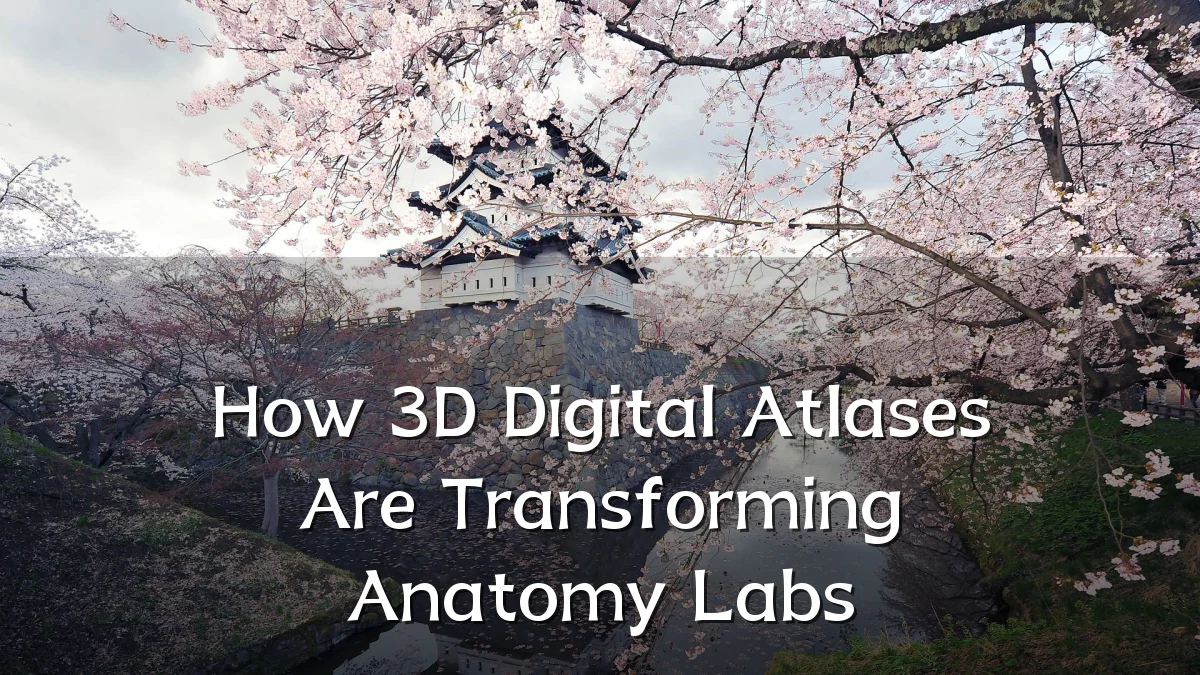 How 3D Digital Atlases Are Transforming Anatomy Labs