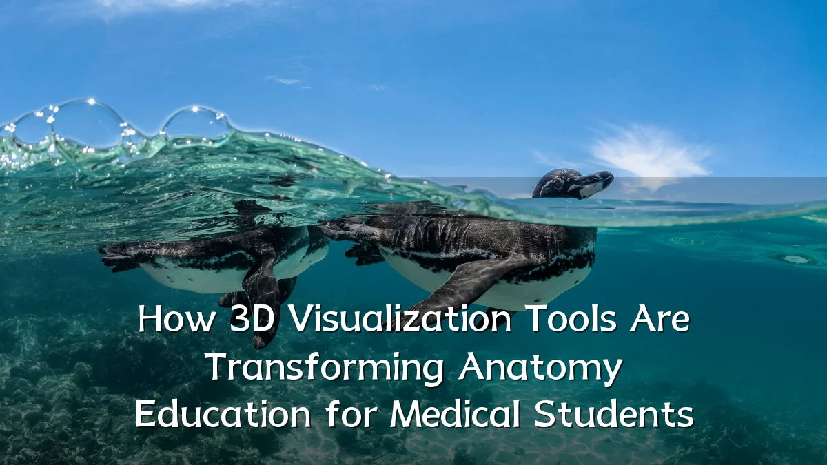 How 3D Visualization Tools Are Transforming Anatomy Education for Medical Students