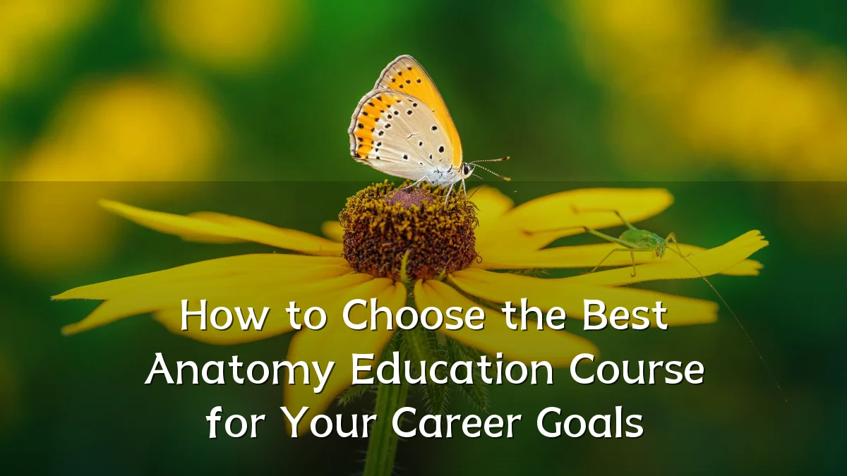 How to Choose the Best Anatomy Education Course for Your Career Goals