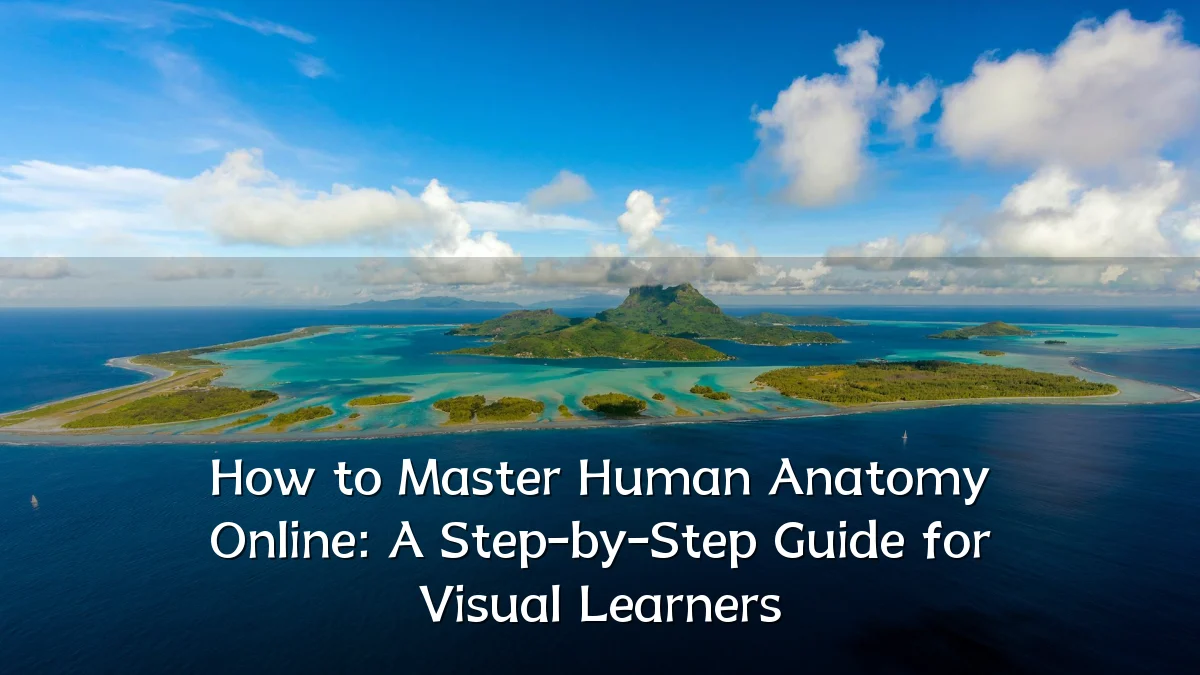 How to Master Human Anatomy Online: A Step-by-Step Guide for Visual Learners