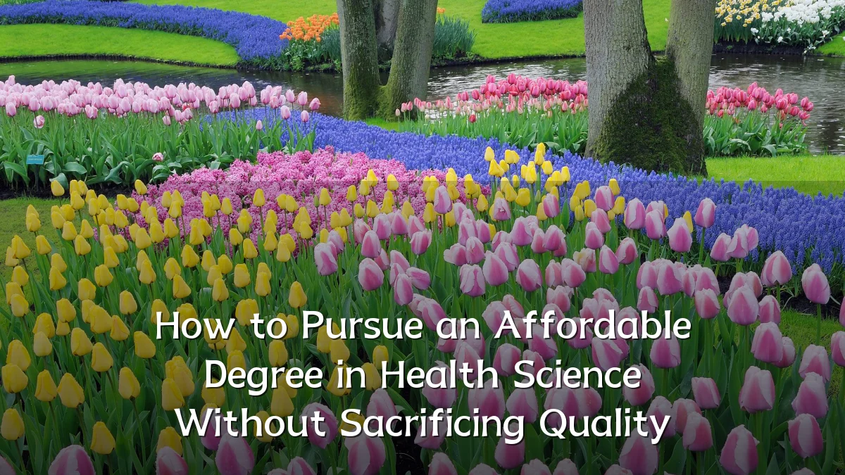 How to Pursue an Affordable Degree in Health Science Without Sacrificing Quality