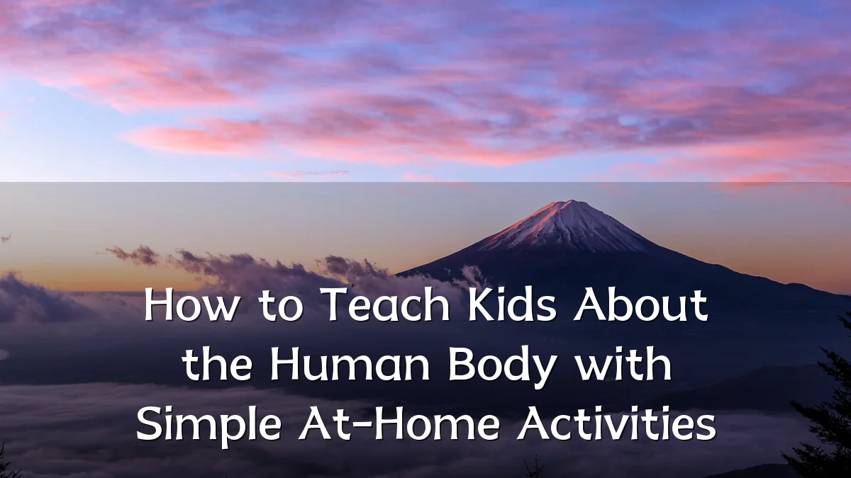 How to Teach Kids About the Human Body with Simple At-Home Activities