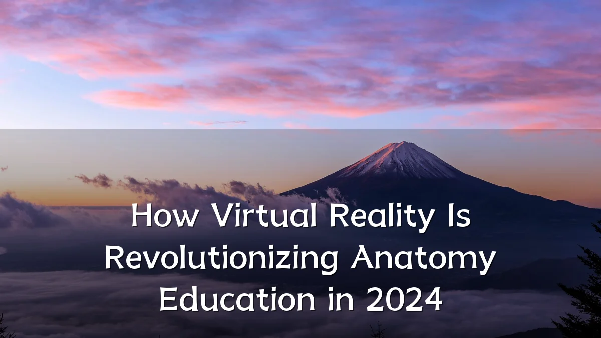 How Virtual Reality Is Revolutionizing Anatomy Education in 2024