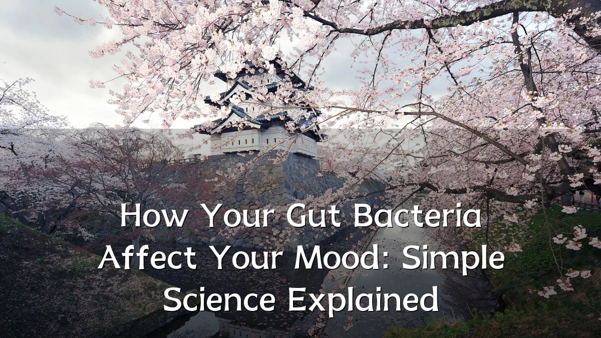 How Your Gut Bacteria Affect Your Mood: Simple Science Explained