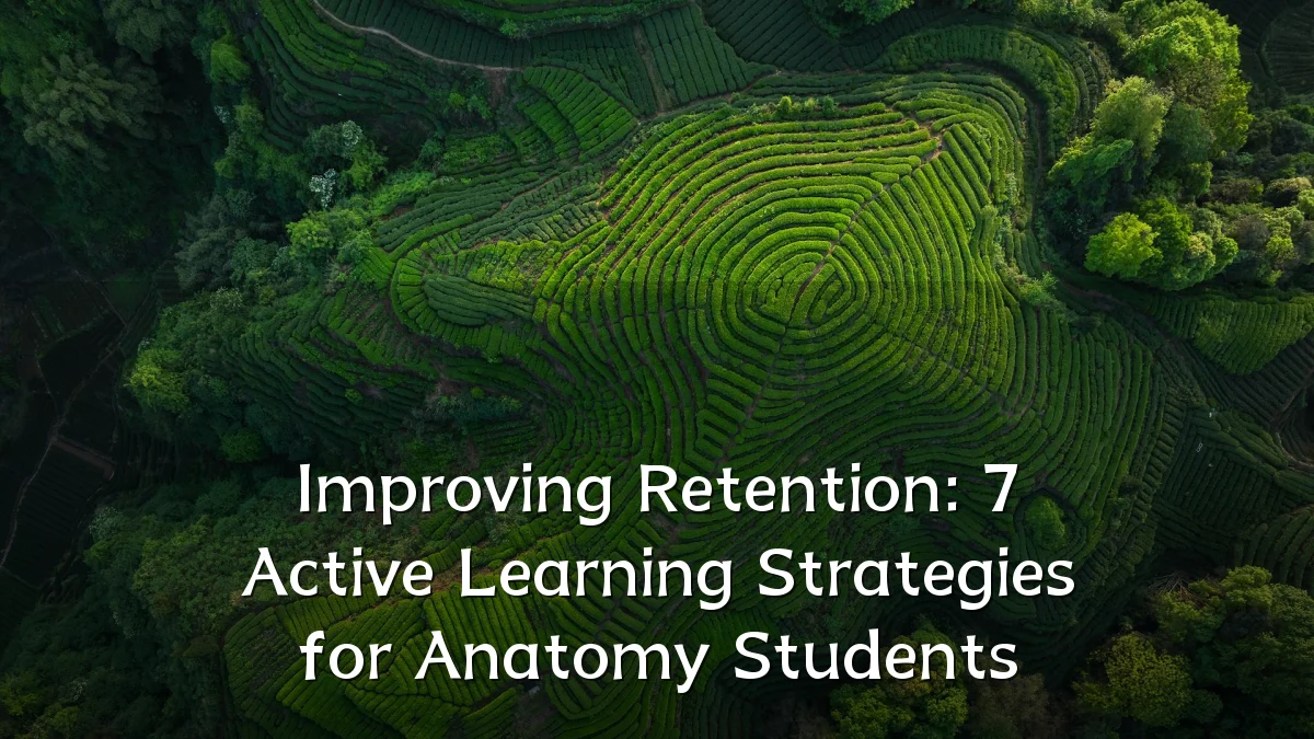 Improving Retention: 7 Active Learning Strategies for Anatomy Students