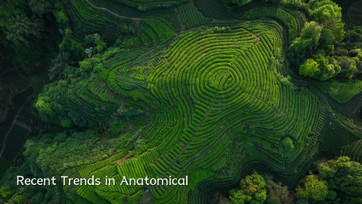 Recent Trends in Anatomical