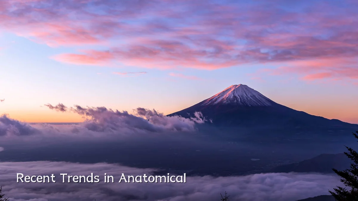 Recent Trends in Anatomical