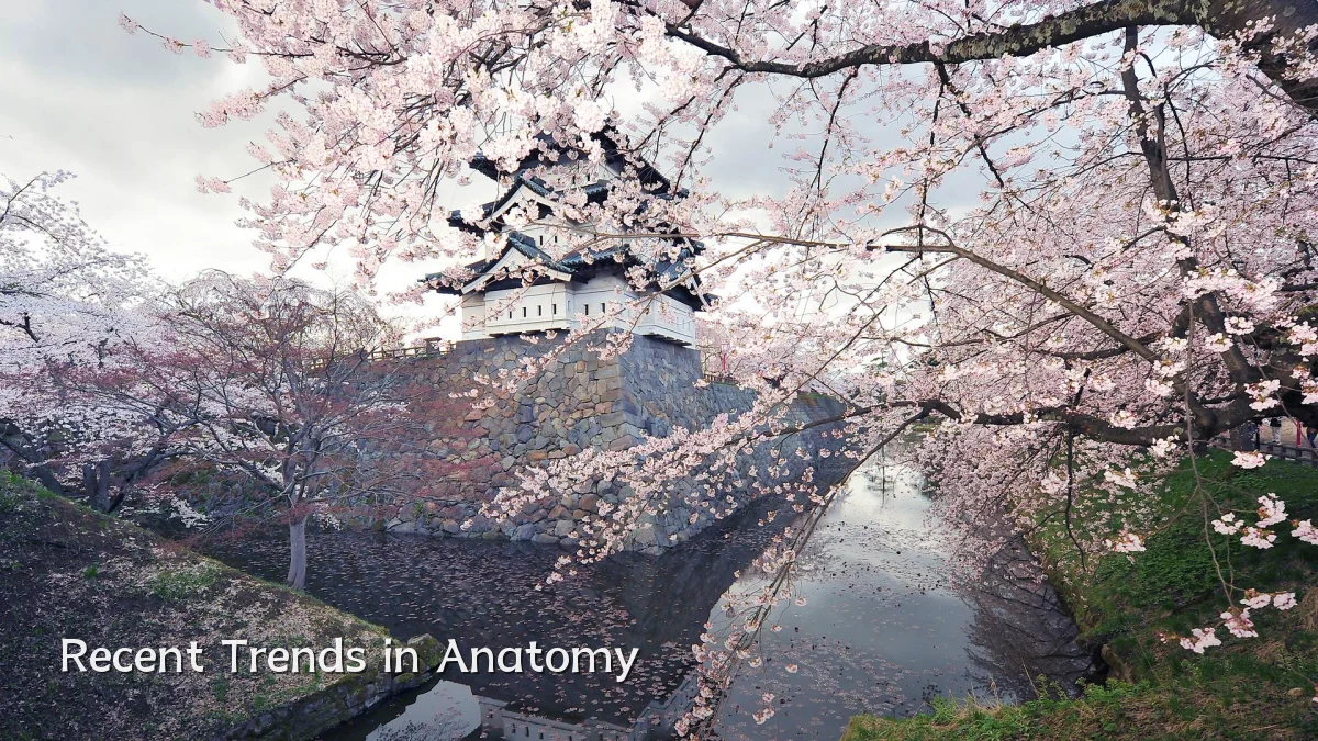 Recent Trends in Anatomy