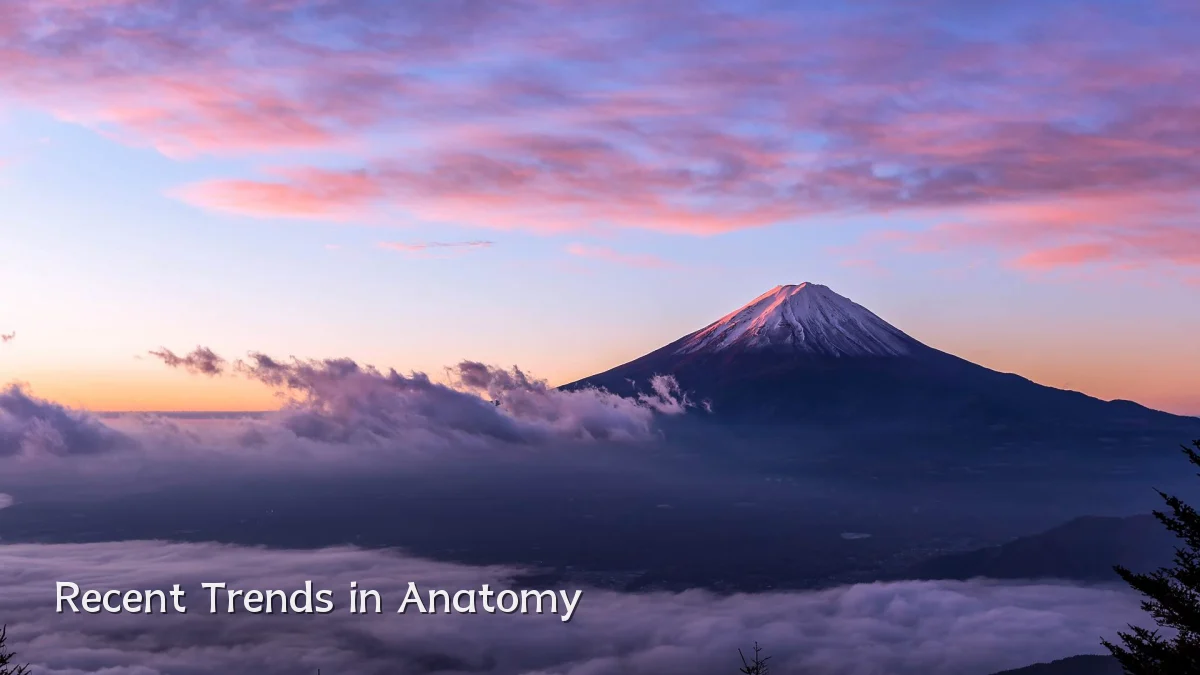 Recent Trends in Anatomy