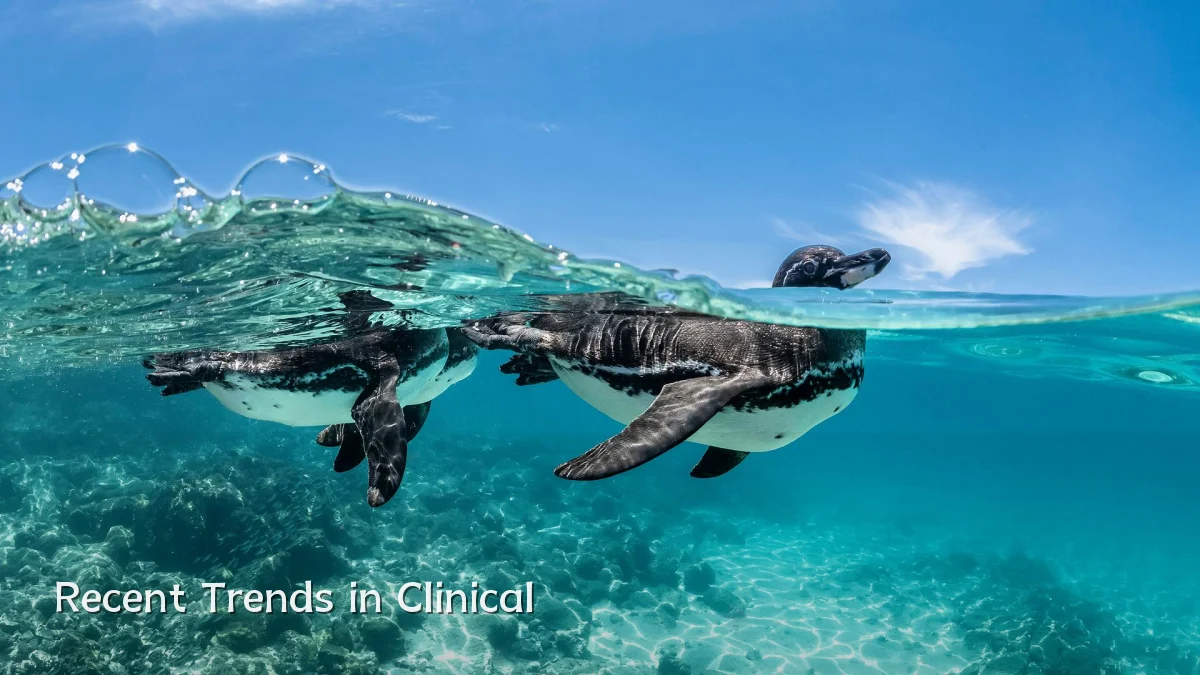 Recent Trends in Clinical