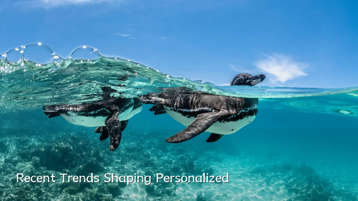 Recent Trends Shaping Personalized