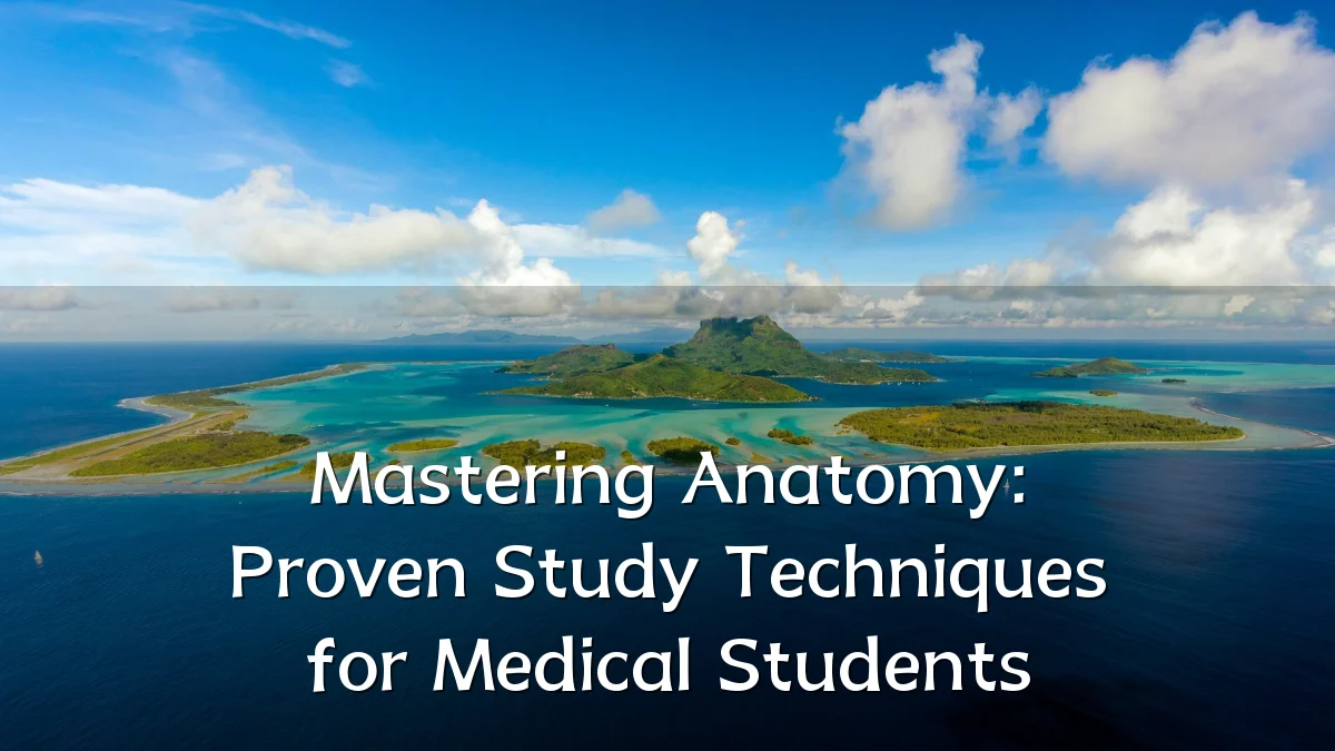Mastering Anatomy: Proven Study Techniques for Medical Students