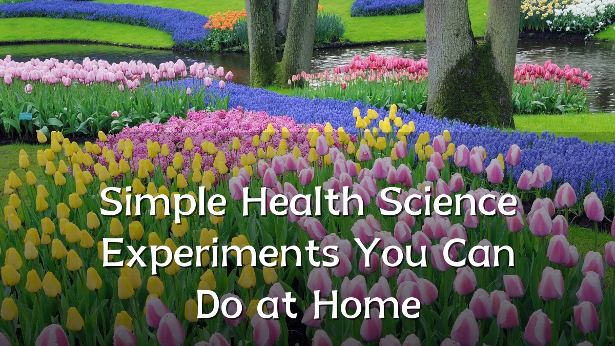 Simple Health Science Experiments You Can Do at Home
