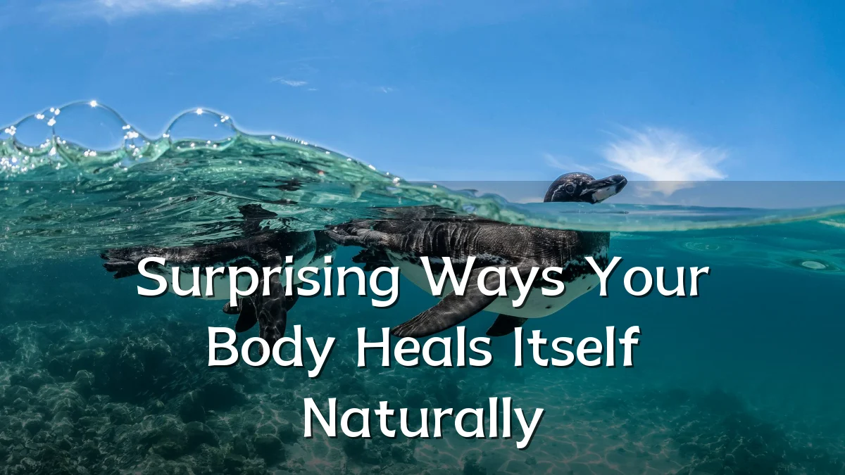 Surprising Ways Your Body Heals Itself Naturally