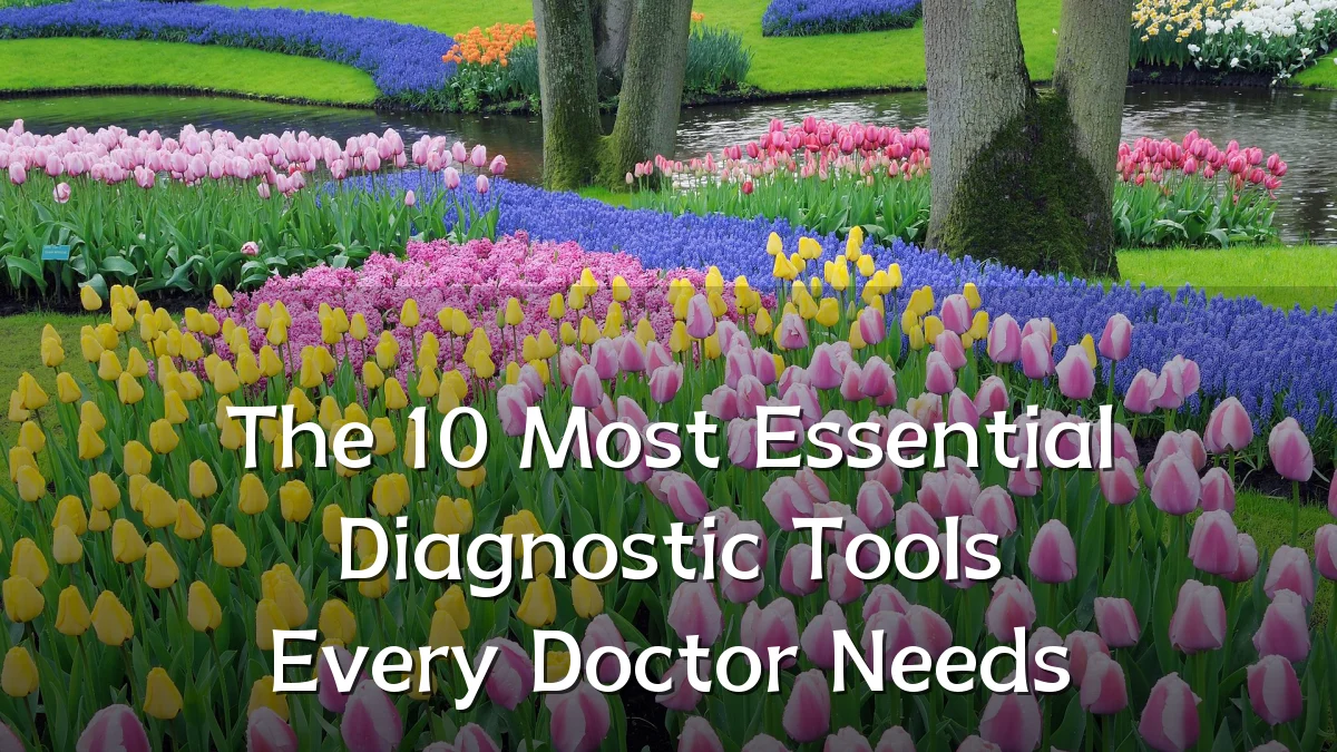 The 10 Most Essential Diagnostic Tools Every Doctor Needs