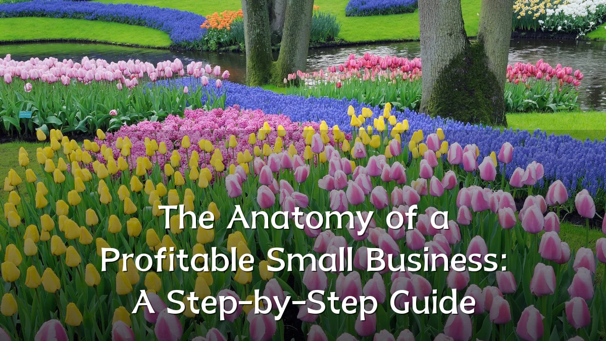 The Anatomy of a Profitable Small Business: A Step-by-Step Guide