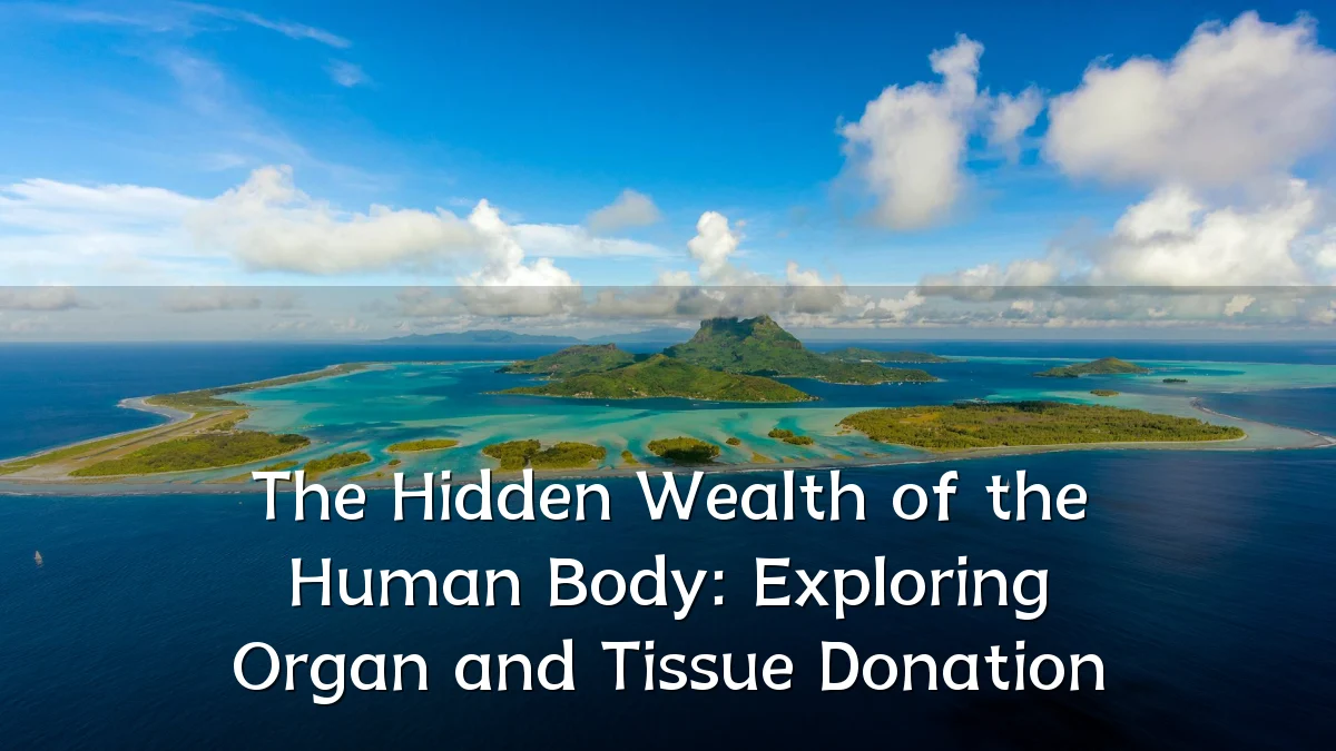 The Hidden Wealth of the Human Body: Exploring Organ and Tissue Donation