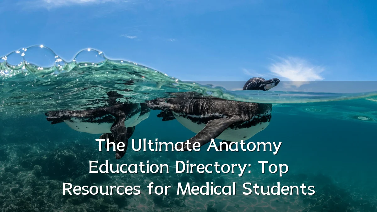 The Ultimate Anatomy Education Directory: Top Resources for Medical Students