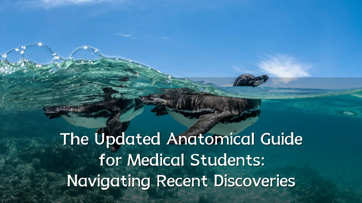 The Updated Anatomical Guide for Medical Students: Navigating Recent Discoveries