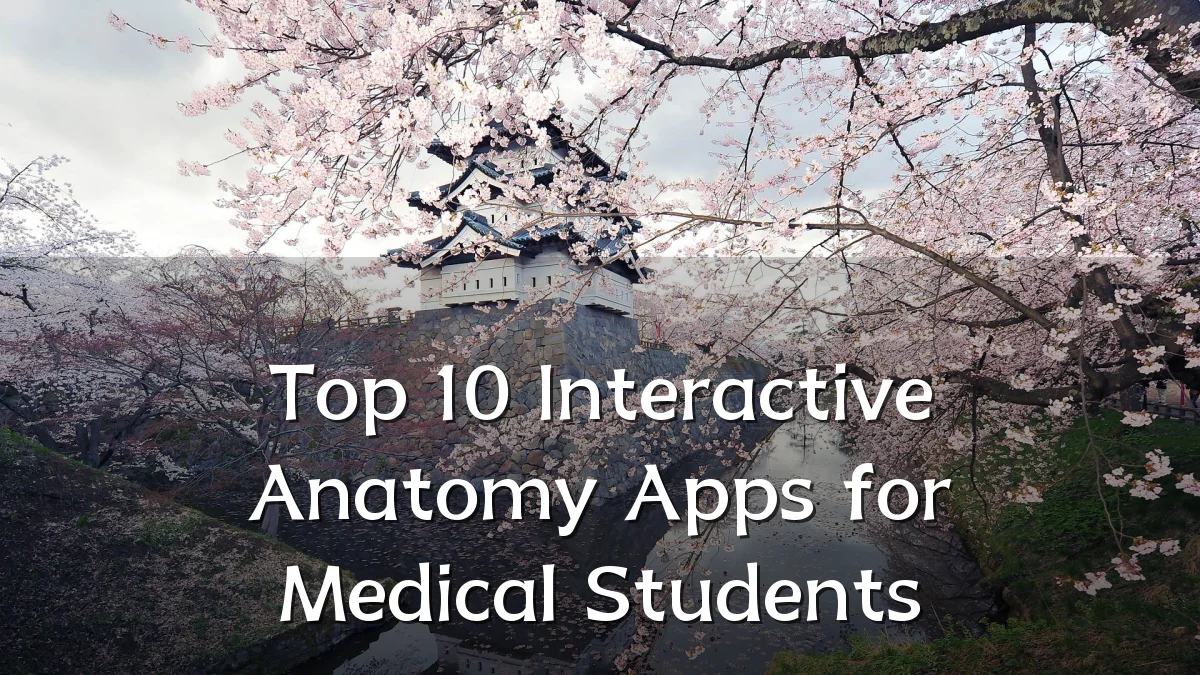 Top 10 Interactive Anatomy Apps for Medical Students