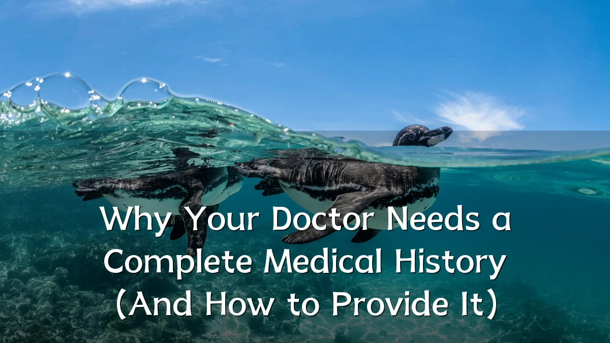 Why Your Doctor Needs a Complete Medical History (And How to Provide It)
