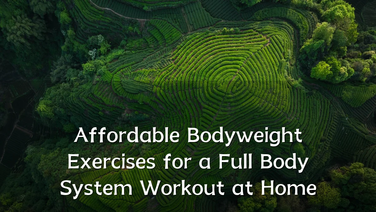 Affordable Bodyweight Exercises for a Full Body System Workout at Home