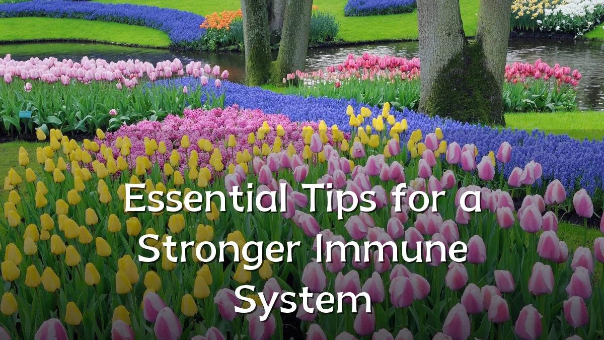Essential Tips for a Stronger Immune System