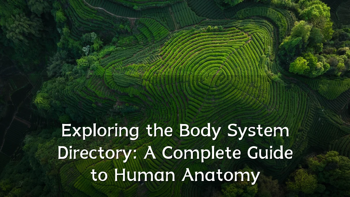 Exploring the Body System Directory: A Complete Guide to Human Anatomy