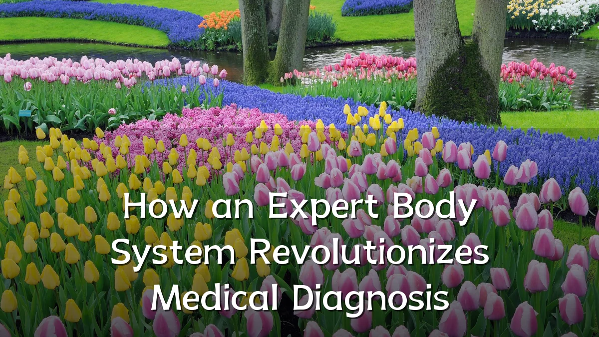 How an Expert Body System Revolutionizes Medical Diagnosis