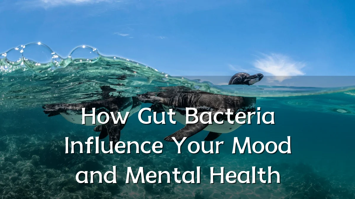How Gut Bacteria Influence Your Mood and Mental Health