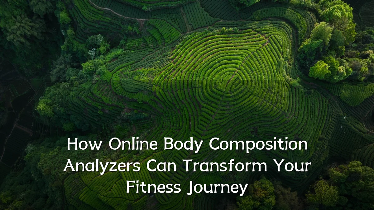 How Online Body Composition Analyzers Can Transform Your Fitness Journey