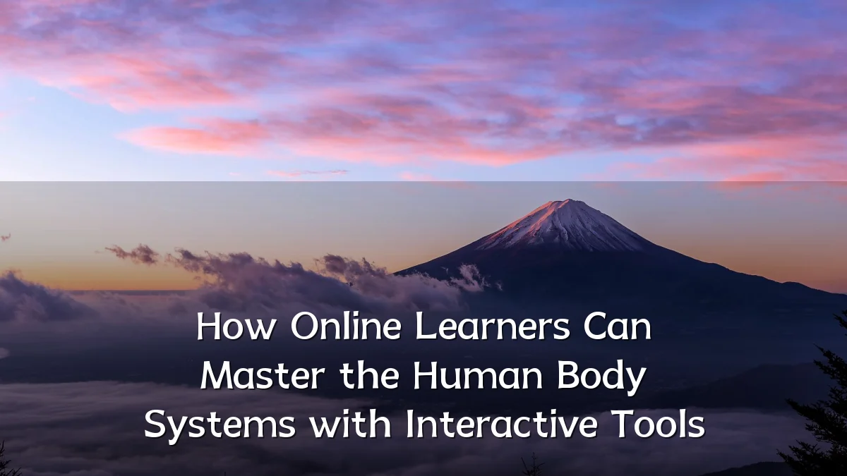 How Online Learners Can Master the Human Body Systems with Interactive Tools
