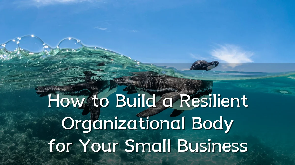 How to Build a Resilient Organizational Body for Your Small Business