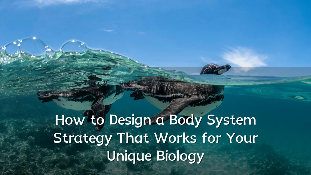 How to Design a Body System Strategy That Works for Your Unique Biology