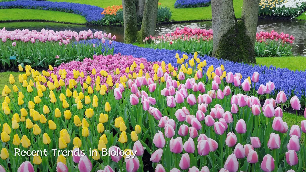 Recent Trends in Biology