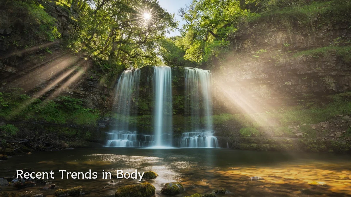Recent Trends in Body