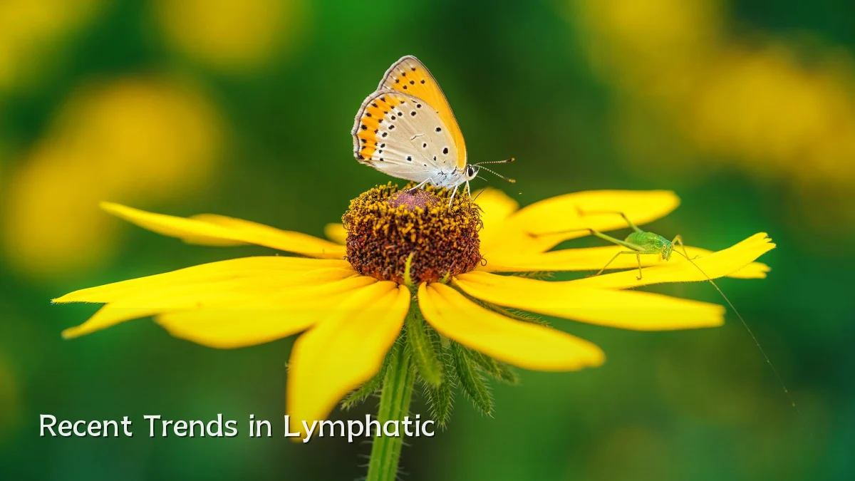 Recent Trends in Lymphatic