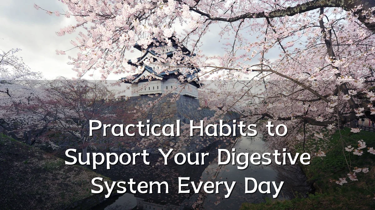Practical Habits to Support Your Digestive System Every Day